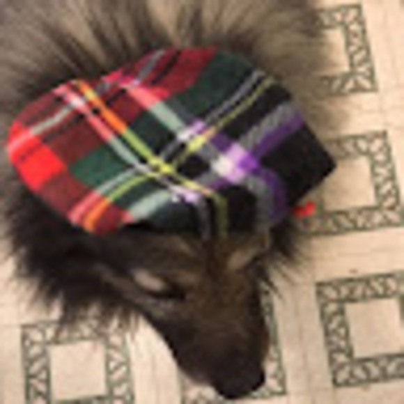 rockybearjones3